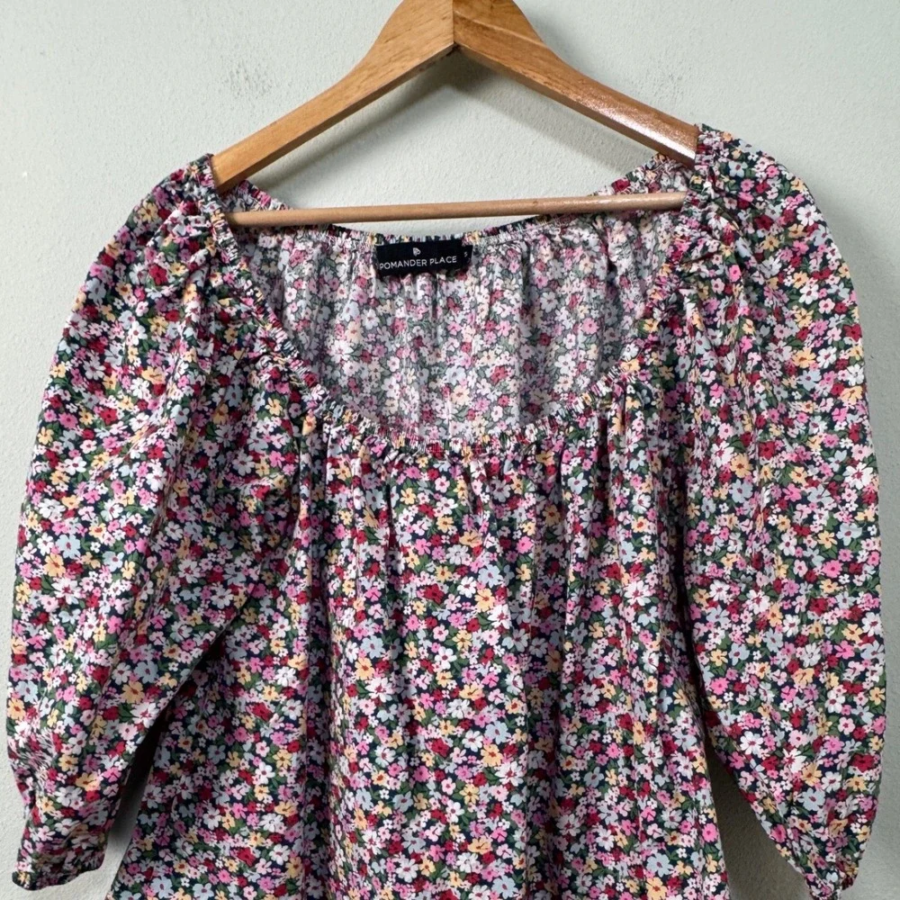 Tuckernuck Pomander Place Ditsy Floral Brooks Blouse Pink Blue Y20956XKGT Small